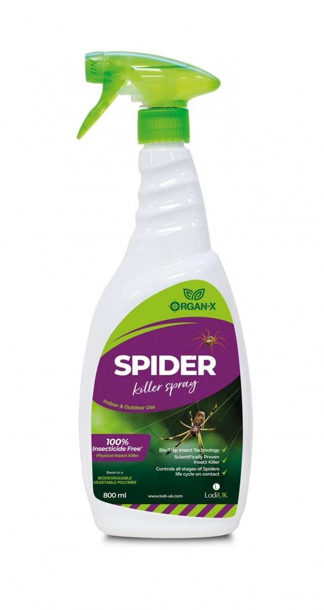 Outdoor deals spider spray